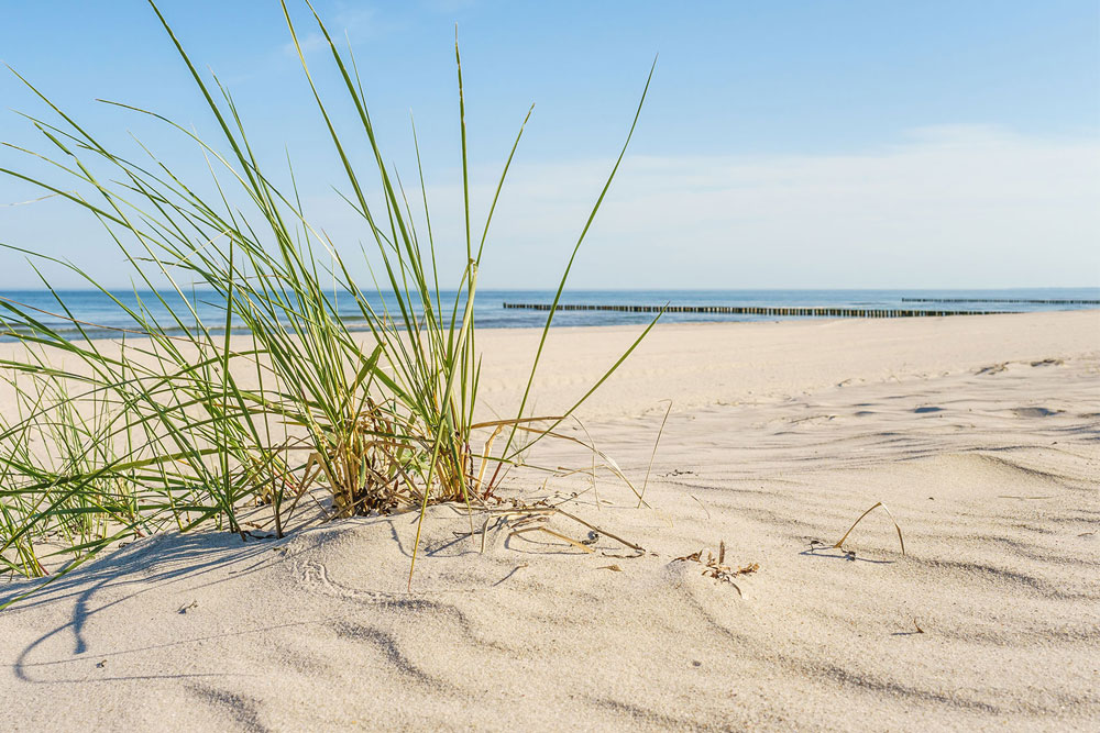 Ferienwohnung Langeoog | Strandnah